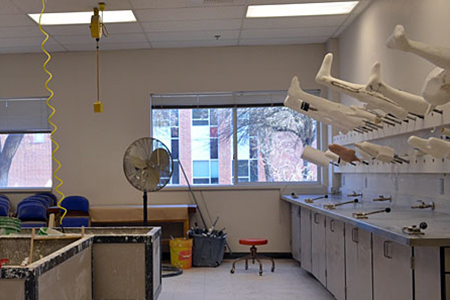 Lab with bins of plaster on one side and plaster casts mounted on the other